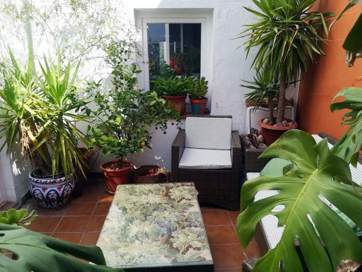 Arte Y Descanso En Sevilla Εξωτερικό φωτογραφία
